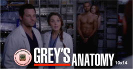 Grey's Anatomy 10x14