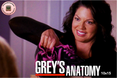 Grey's Anatomy 10x15